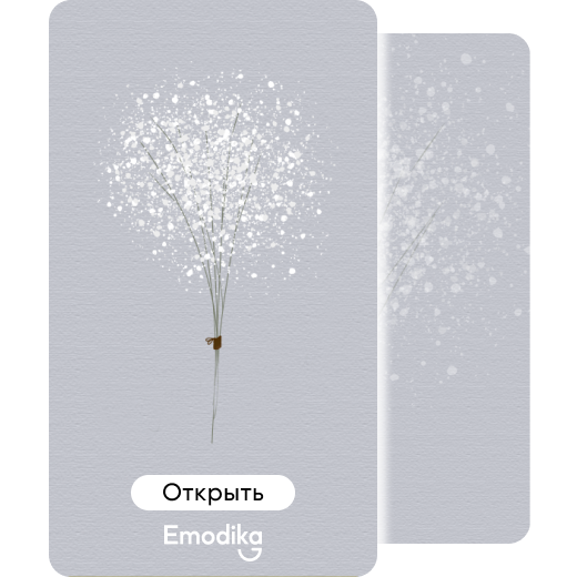 Открытка: Гипсофила (pure)