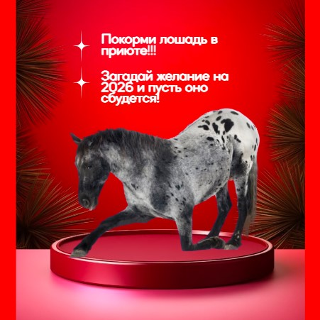 TeddyFood: покормить коня