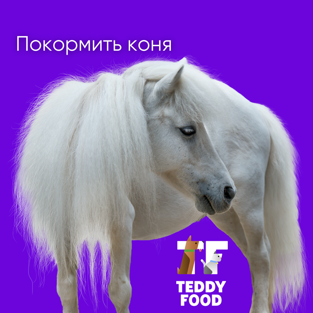 TeddyFood: покормить коня
